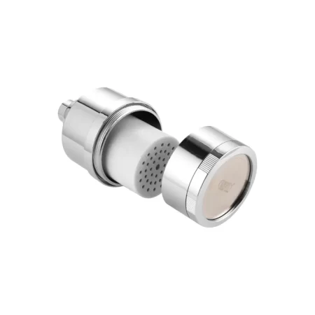 Water filter overhead shower